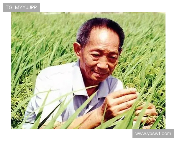 专访李强：探寻网球世界的成功秘诀与背后故事